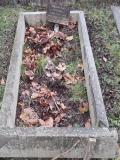 image of grave number 452046